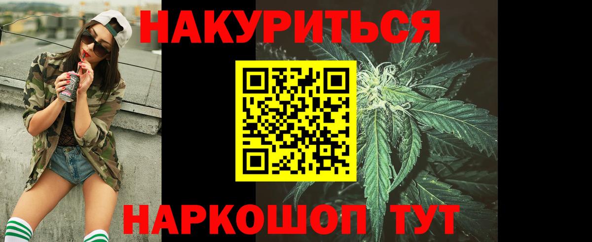 Конопля планчик  Канабис планчик  Конопля OG Kush  Вход с VPN  Конопля Bruce Banner  Светлоград 